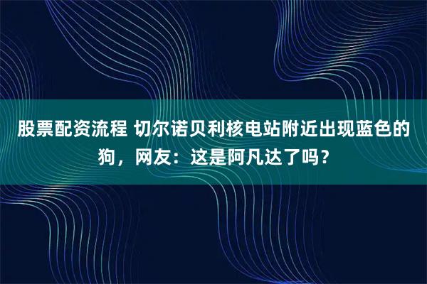 股票配资流程 切尔诺贝利核电站附近出现蓝色的狗，网友：这是阿凡达了吗？