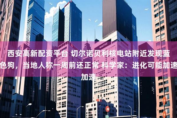 西安高新配资平台 切尔诺贝利核电站附近发现蓝色狗，当地人称一周前还正常 科学家：进化可能加速